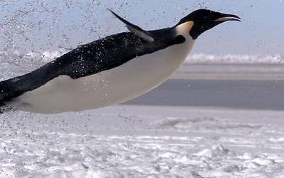 Самые знаменитые розыгрыши на ТВ за всю историю