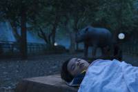 Кадр Открытки из зоопарка