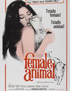 Female Animal