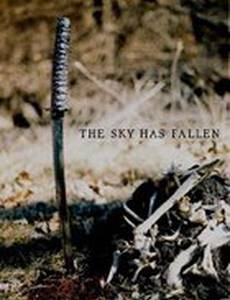 The Sky Has Fallen