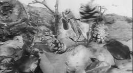 Кадр из фильма "Стрекоза и муравей" - 2