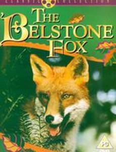 Белстоунский лис