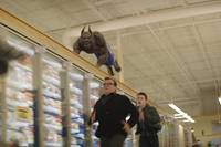 Кадр Ужастики