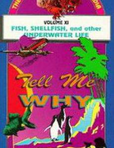 Скажи почему