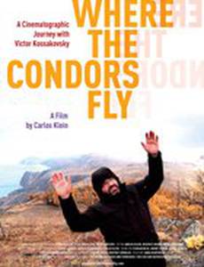 Там, где летают кондоры