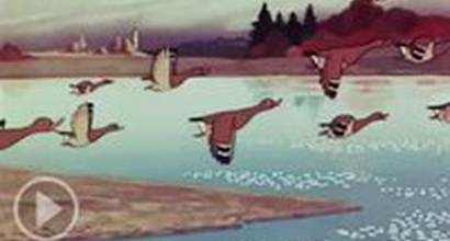 Мультфильм 