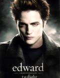 Постер из фильма "Сумерки" - 1