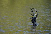 Кадр Ганнибал