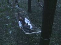 Кадр Спящий лес