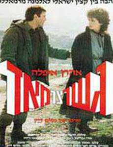 Очень узкий мост