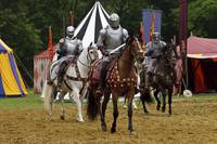 Кадр Мерлин