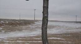 Кадр из фильма "Лагерь Иисуса" - 1