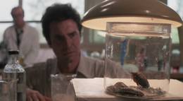 Кадр из фильма "Жук" - 1