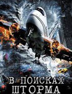В поисках шторма