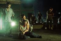 Кадр Вирусный фактор