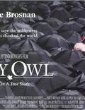 Постер из фильма "Серая сова" - 1