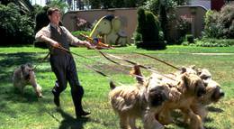 Кадр из фильма "Бадди" - 2