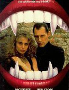 Ночная жизнь