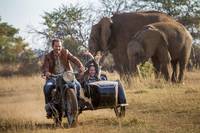 Кадр Приключения Мии и белого льва 