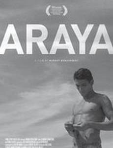 Araya