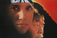 Парень-каратист 3