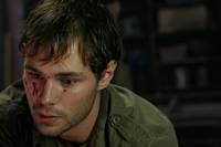 Кадр Теория убийств