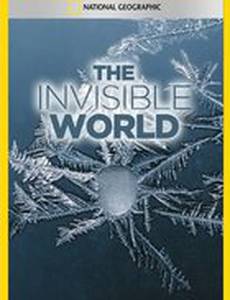 National Geographic: The Invisible World