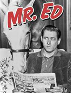 Мистер Эд
