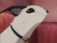 Кадр Принцесса-шаман (видео)