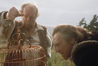 Кадр Черепашки-ниндзя 3