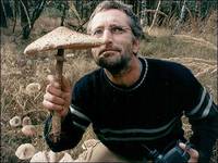 Кадр Дорога за город