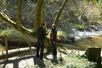 Кадр Дневники вампира