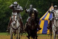 Кадр Мерлин