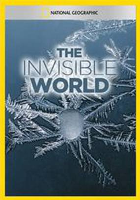 National Geographic: The Invisible World