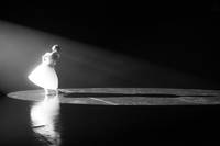 Кадр Чёрный лебедь