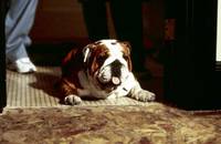 Кадр Король вечеринок