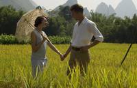 Кадр Разрисованная вуаль