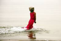 Кадр Переводчик