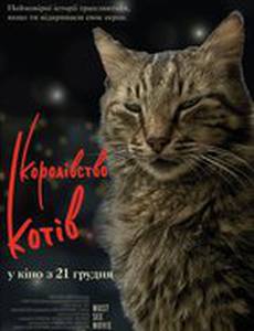 Город кошек