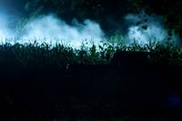 Кадр Земля вампиров