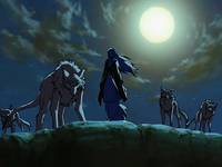 Кадр 12 королевств