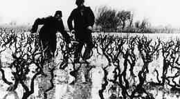 Кадр из фильма "Три" - 1