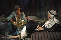 Кадр Бутон розы