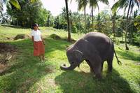 Кадр Chandani: The Daughter of the Elephant Whisperer