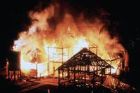 Кадр Берег москитов