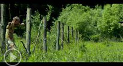 Фрагмент №2