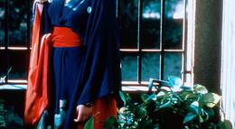 Кадр из фильма "Дикая орхидея 2: Два оттенка грусти" - 1