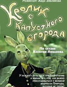 Кролик с капустного огорода