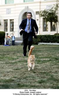 Кадр Лохматый папа