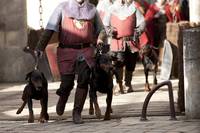 Кадр Мерлин